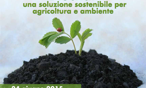 Immagine-5